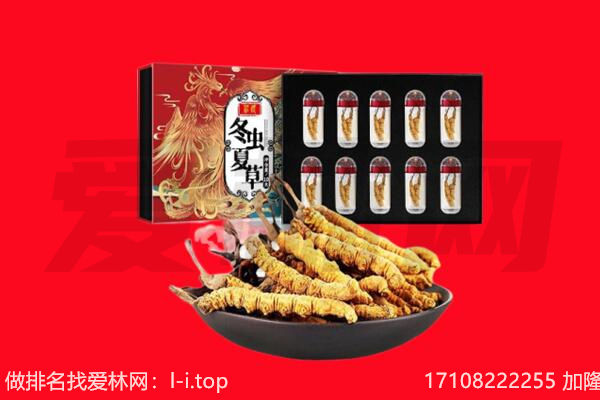 西陵区回收虫草.jpg